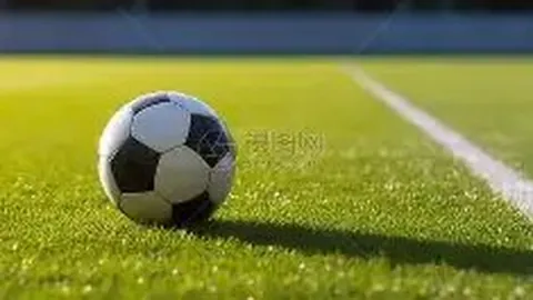 【独家揭秘】2026006期大乐透前区精准杀号，中奖秘籍等你来拿！