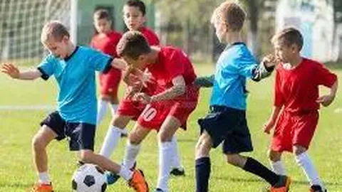 2026011期独家揭秘：今日排列五预测热门号码大公开！