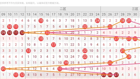 中国体彩网